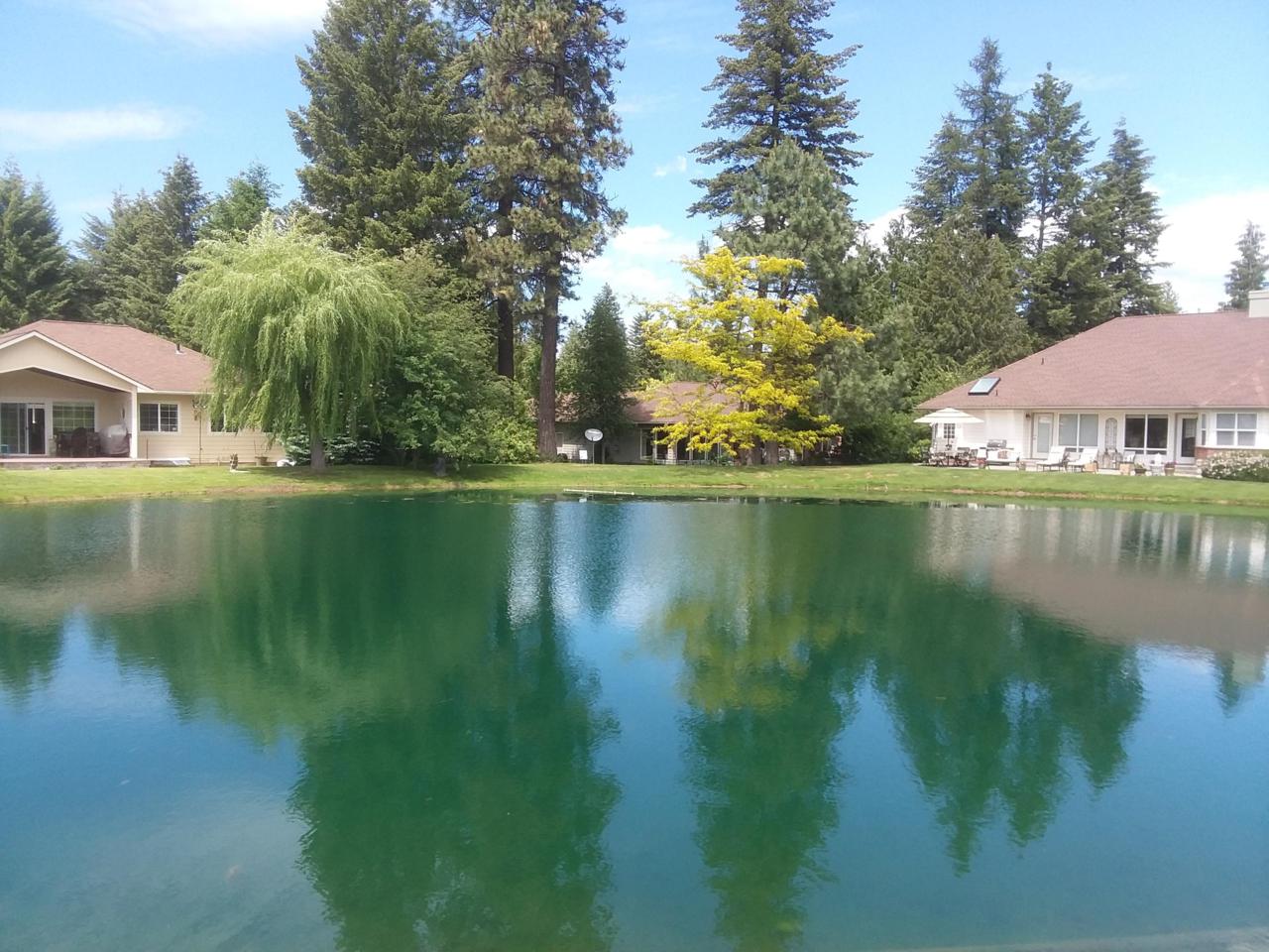L3B2 Molly Ln - Photo 1