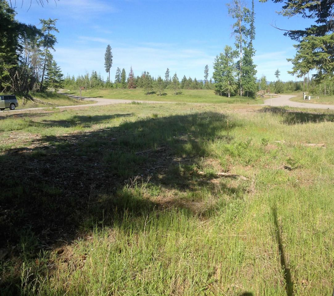 Lot 256 Gozzer Ranch - Photo 1