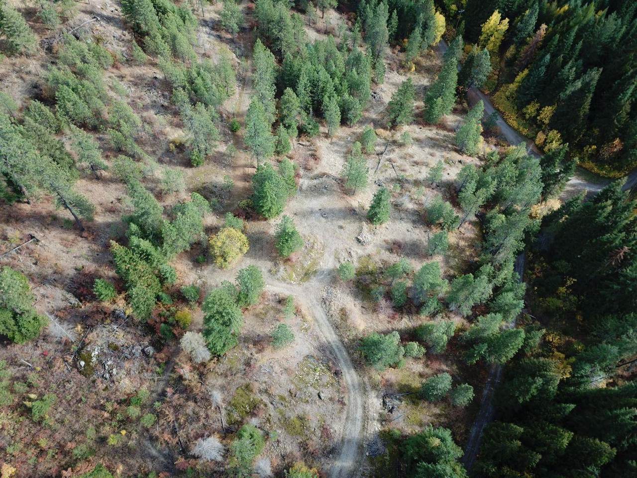 NKA Timber Ridge - Photo 1
