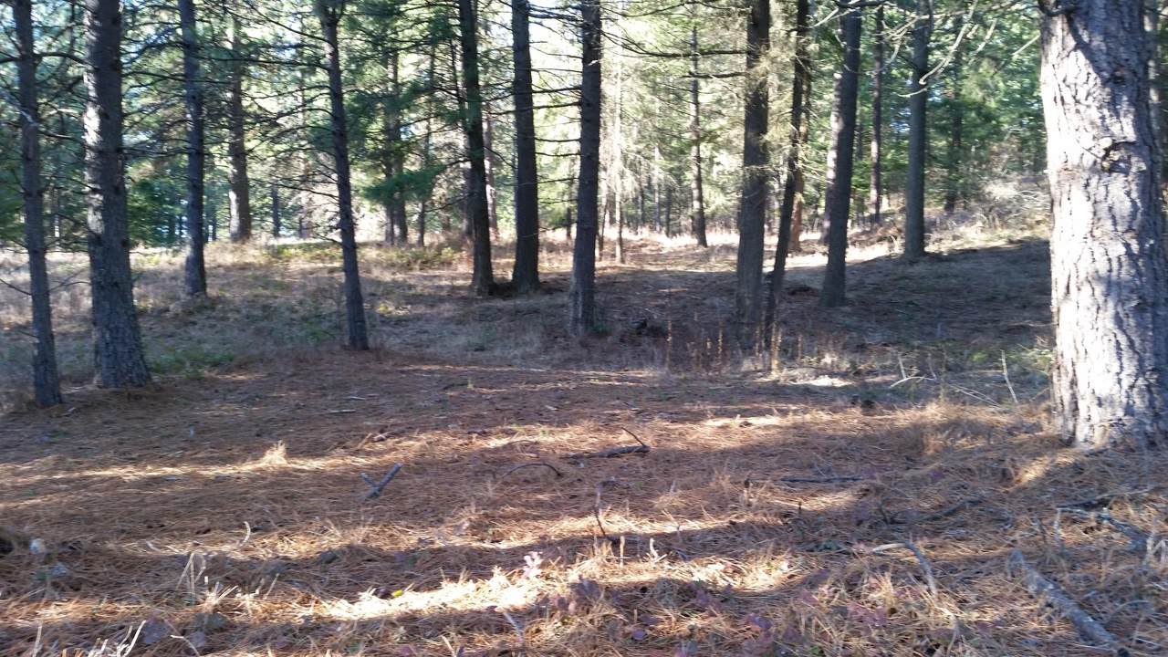 NKA Alina Drive (Lot9) - Photo 1