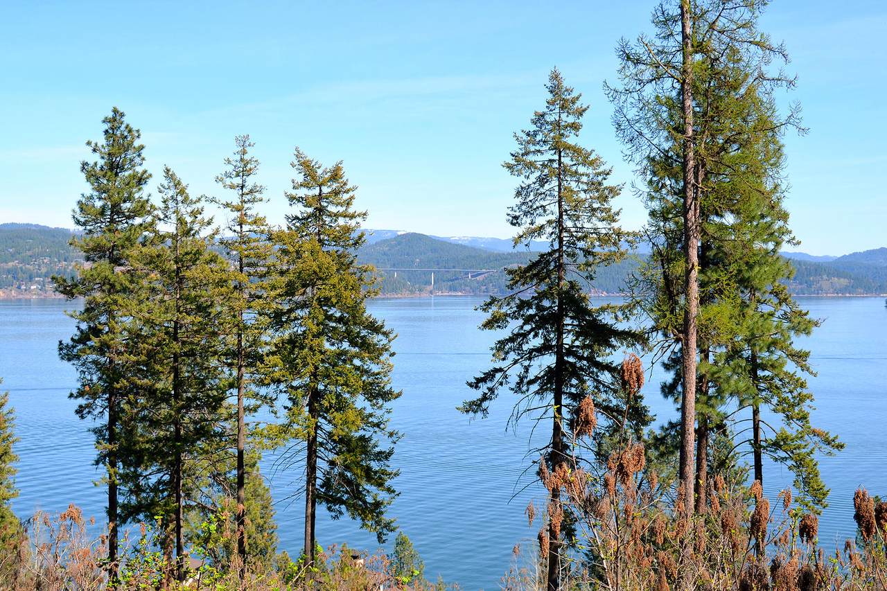 Isaac Stevens Rd - Photo 1