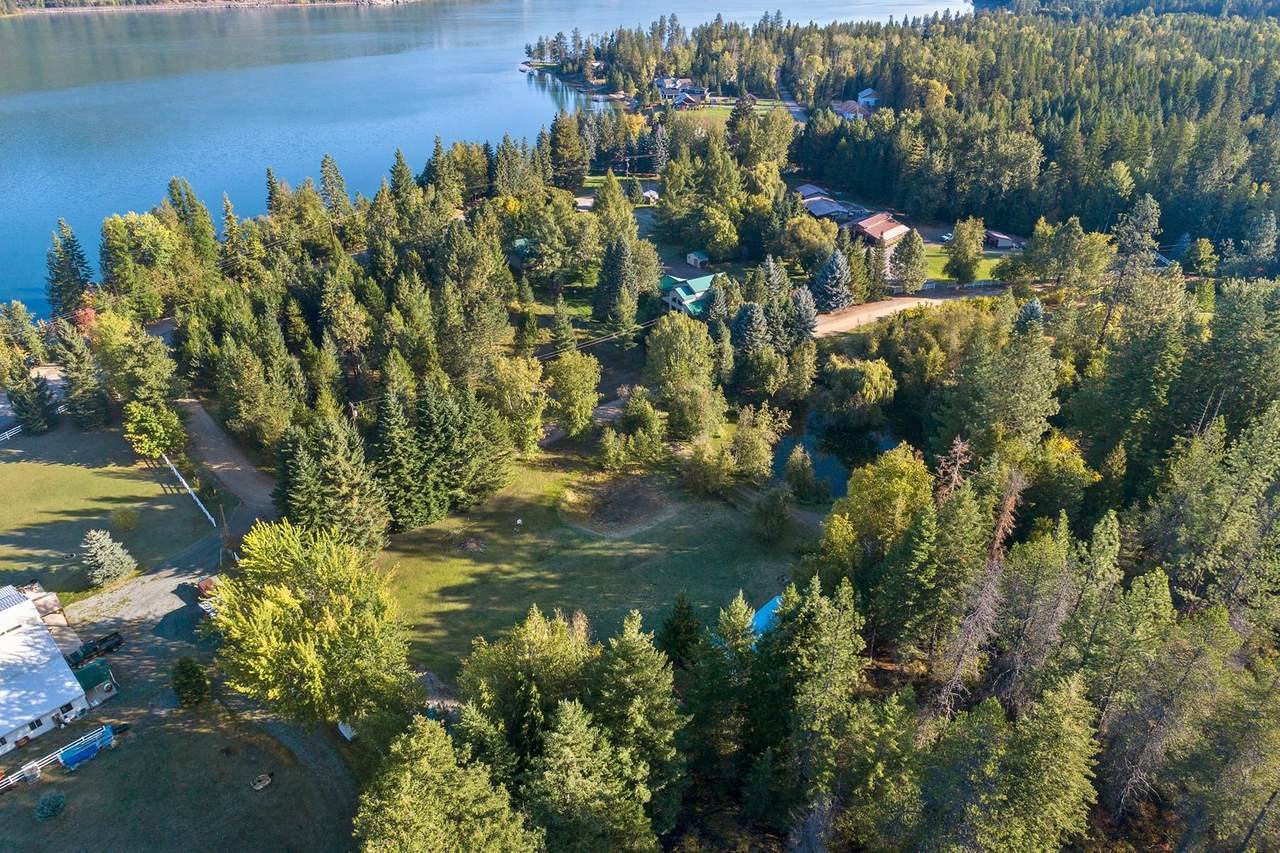 48 Birch Beauty - Photo 1