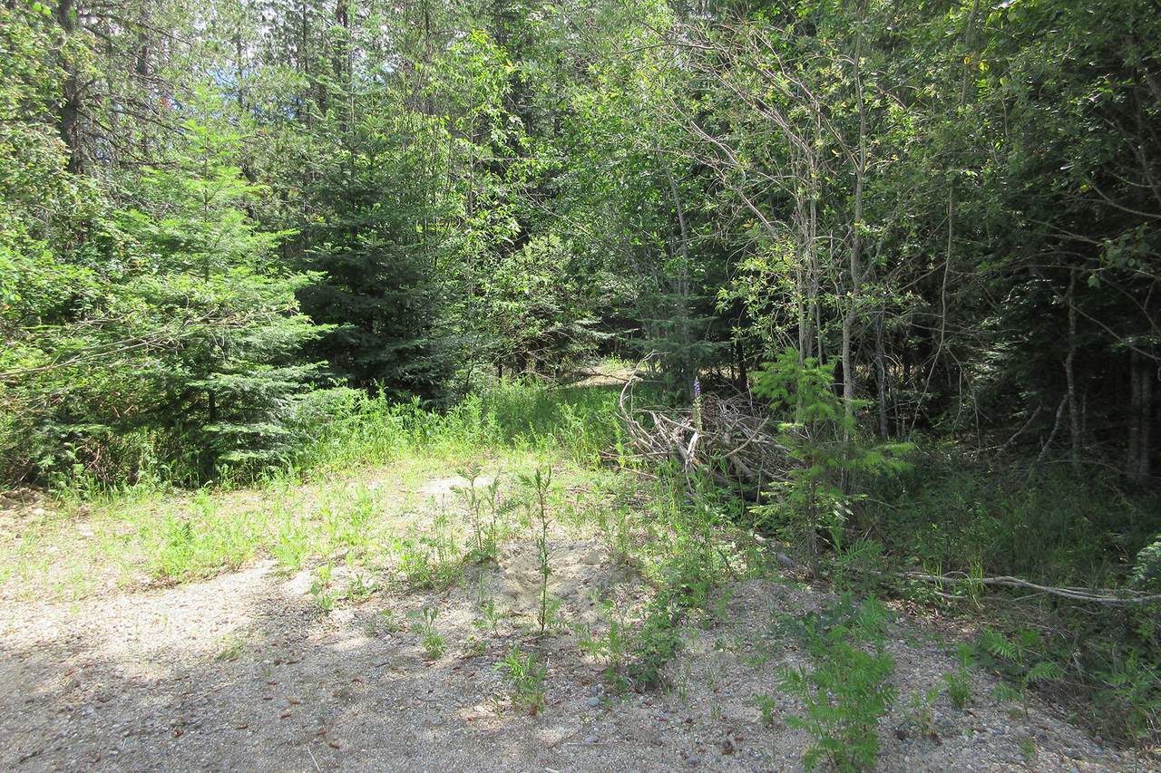 Lot 14 Sunny Shores Loop - Photo 1 Lot 14 Sunny Shores Loop - Photo 1
