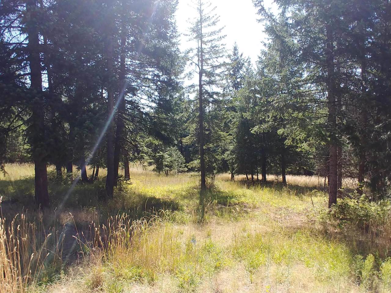 L4B5 Roanoak Road - Photo 1