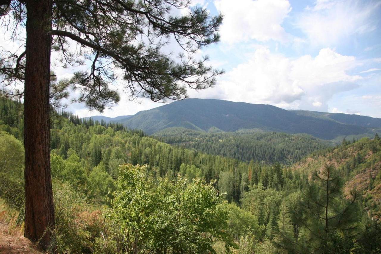 150a Moon Gulch Rd - Photo 1