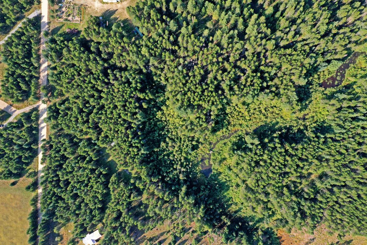 NKA Bear Rd. - Photo 1