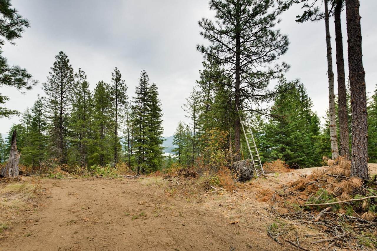 Lot 4 Seneca Drive - Photo 1