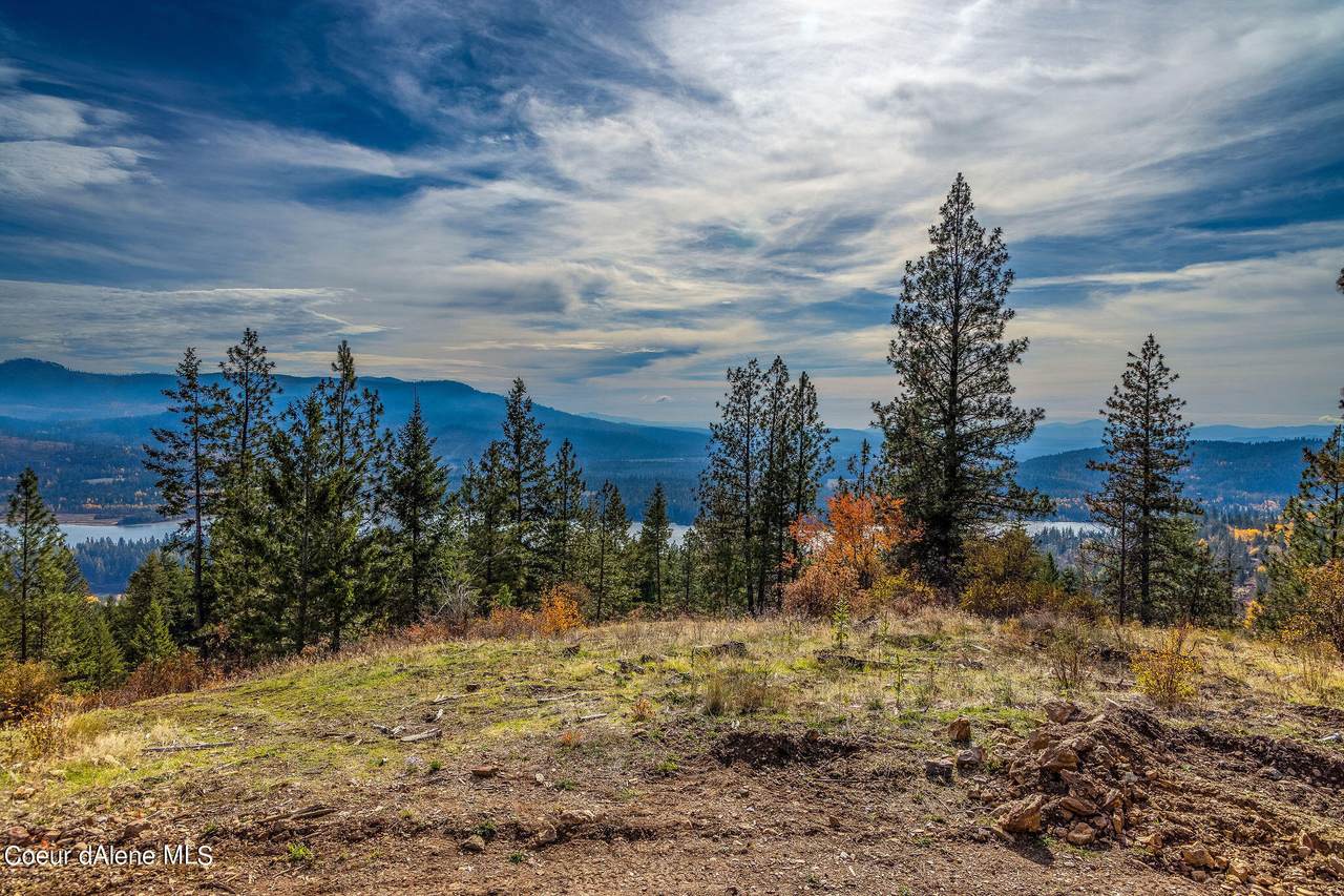 NNA Pine Leaf Rd - Photo 1