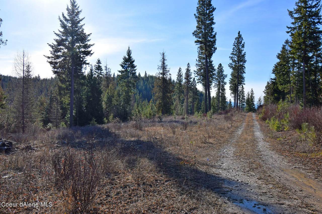 NNA Cliffside Rd - Photo 1