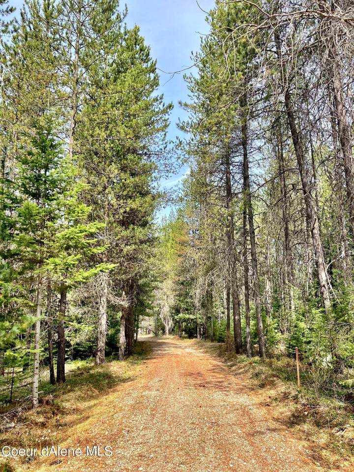 NNA Sugar Mountain Rd. - Photo 1