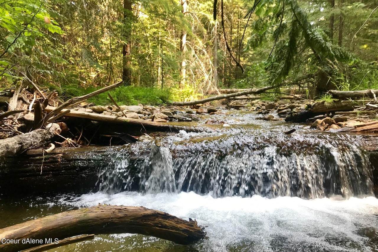 NNA Trapper Creek - Photo 1