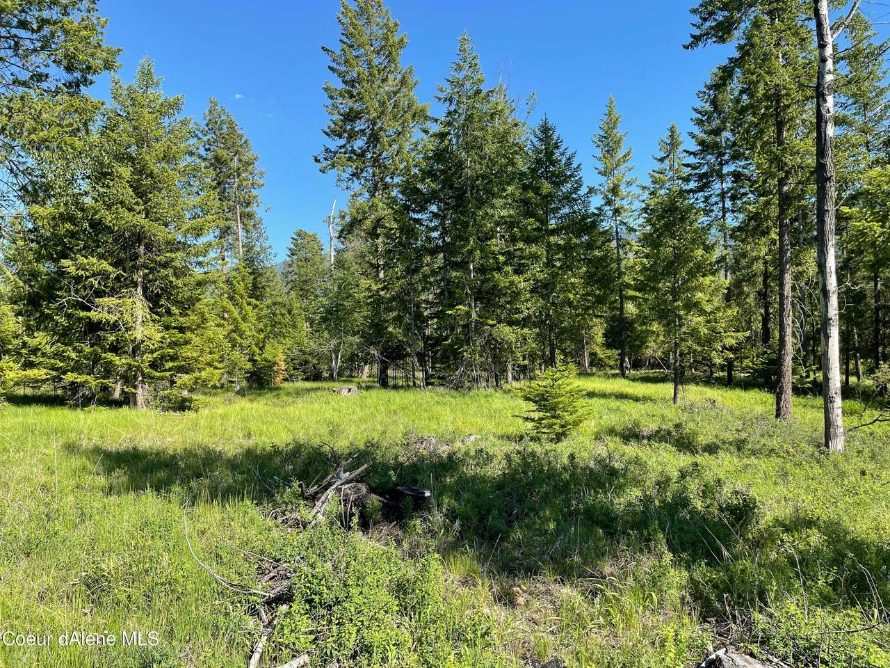 NNA Parker Canyon - Photo 1