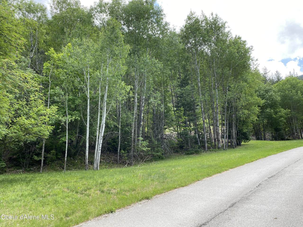 .55 Acre Locust St - Photo 1
