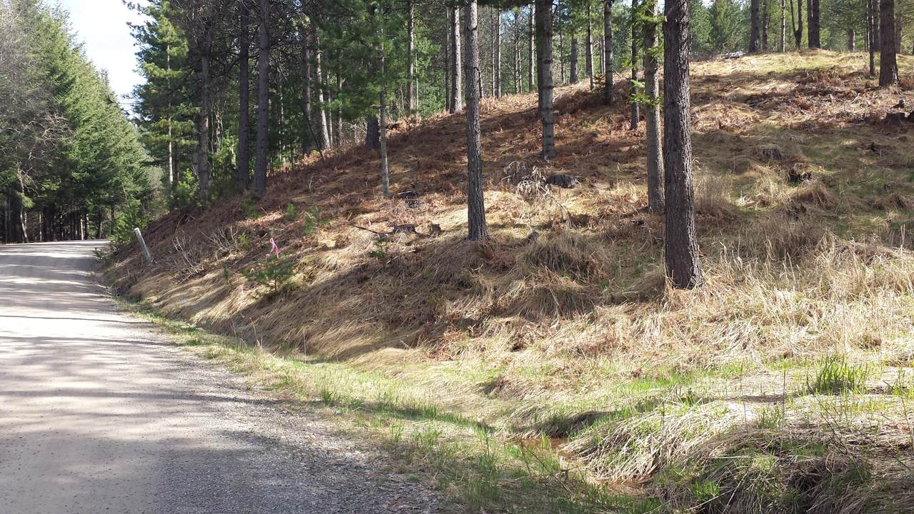 NKA Alhambra Road - Photo 1