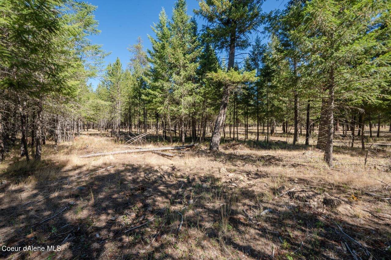 NNA Mohawk Dr Lot #4 - Photo 1