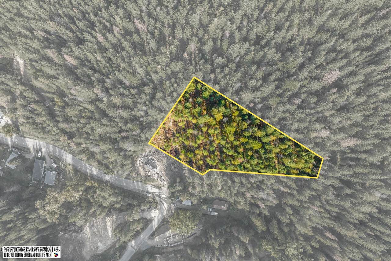 717 Upper Page Rd - Photo 1