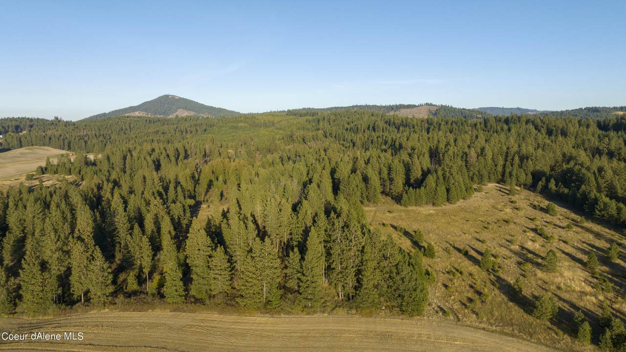 NKA Hwy 95 Lot 3 - Photo 1
