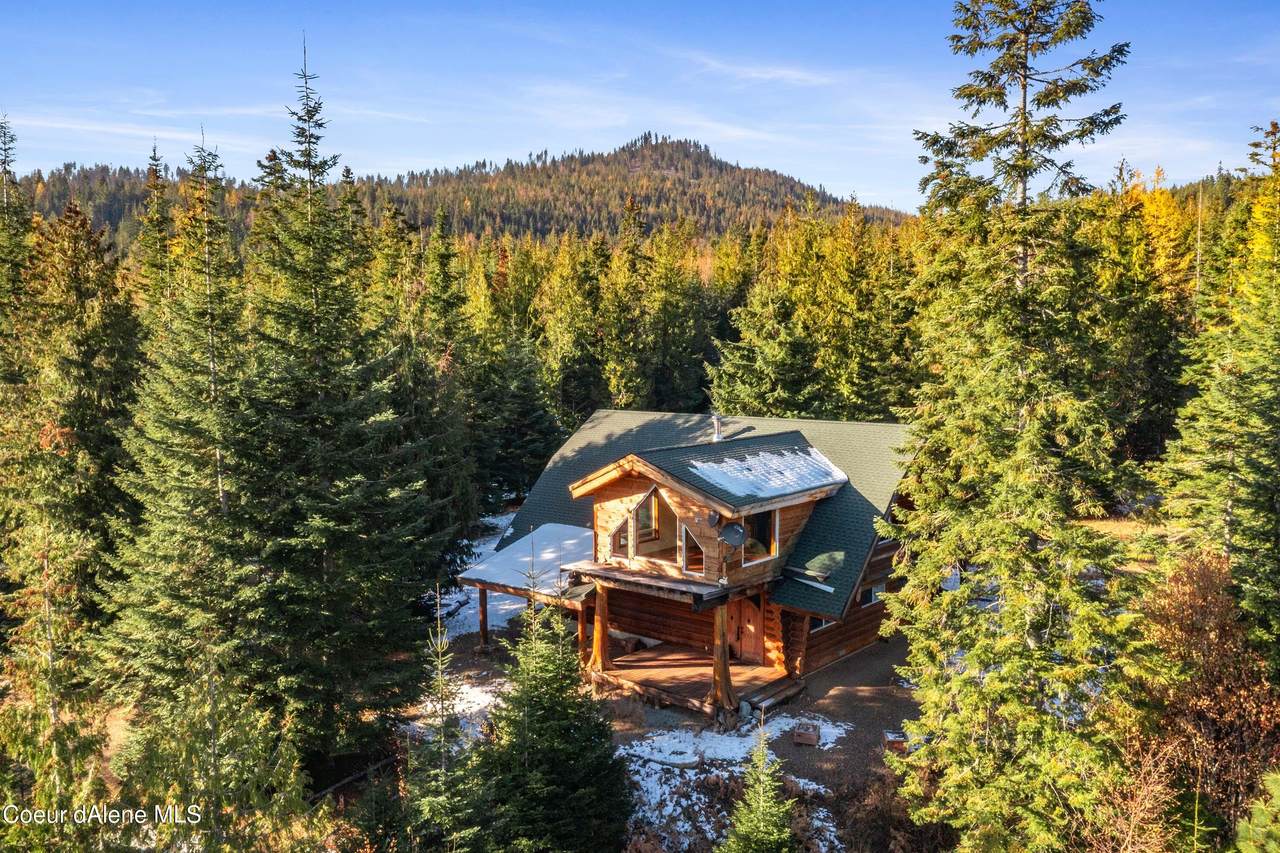 651 Sled Run Trail - Photo 1