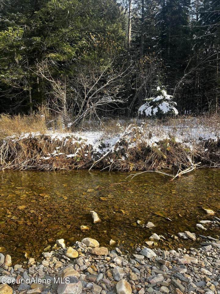 1280 Beaver Creek Rd - Photo 1