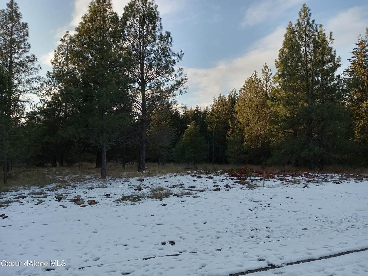 Lot 3 Sheep Spring Acres - Photo 1