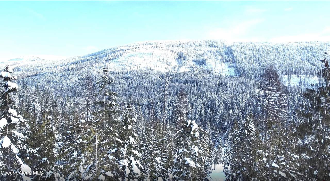 NKA Meadow Creek Rd - Photo 1