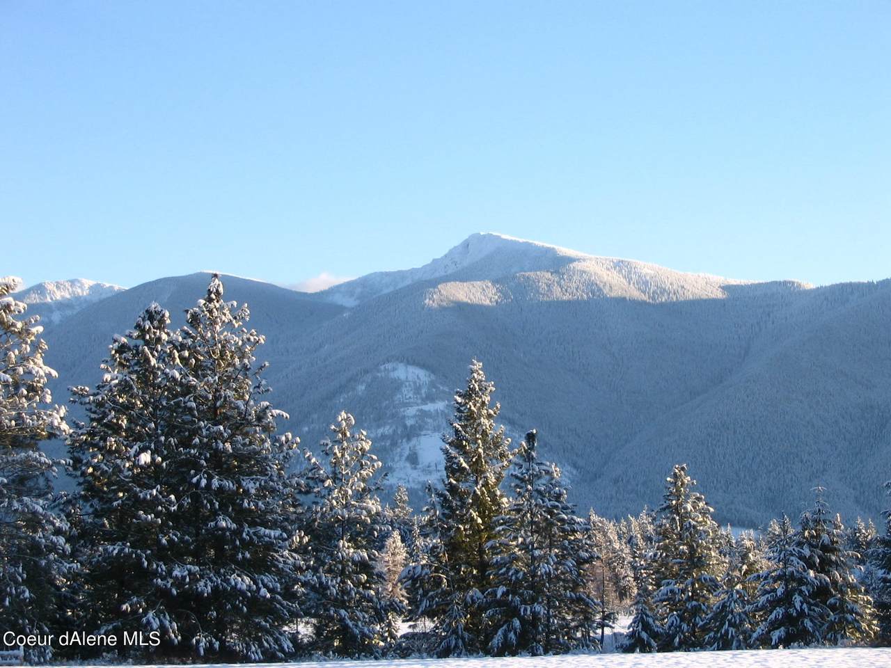 350 Stellar Jay Rd - Photo 1