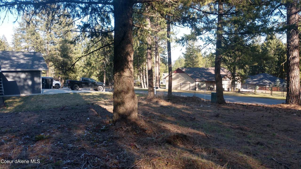 81 Parkland Dr - Photo 1