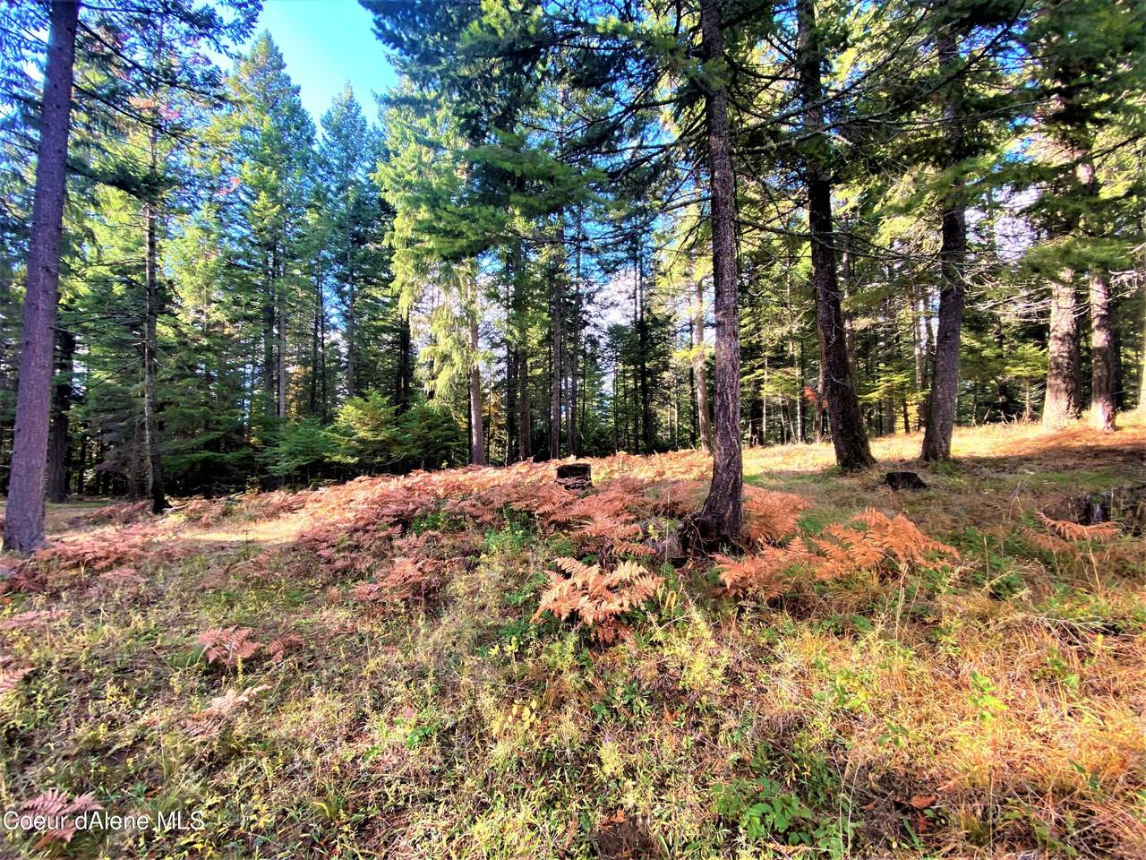 NNA Green Pasture Rd. - Photo 1
