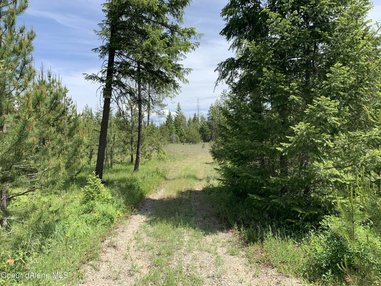 NKA Bodie Canyon Tract 2 - Photo 1