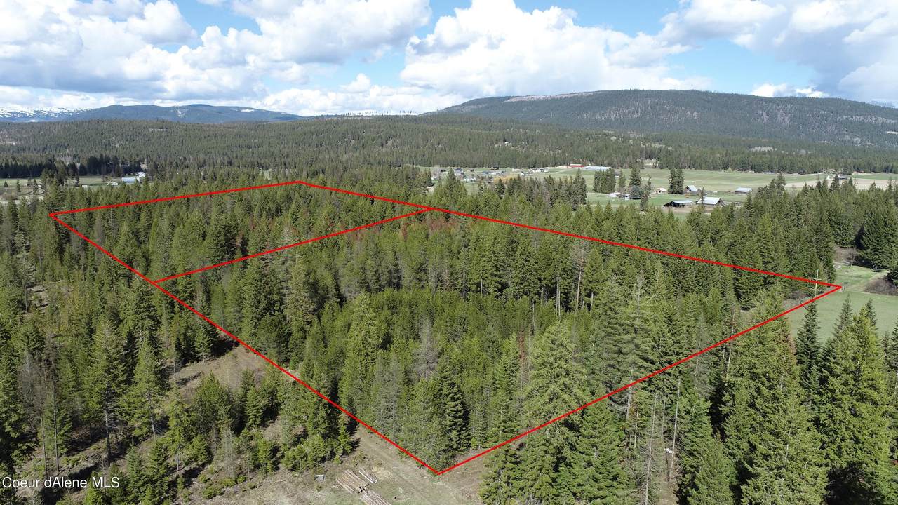 NNA Shady Glade Ln - Photo 1