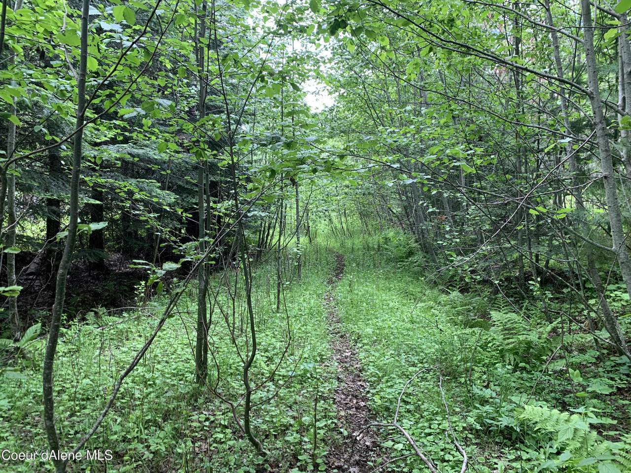 NNA Gold Creek Ridge Rd - Photo 1