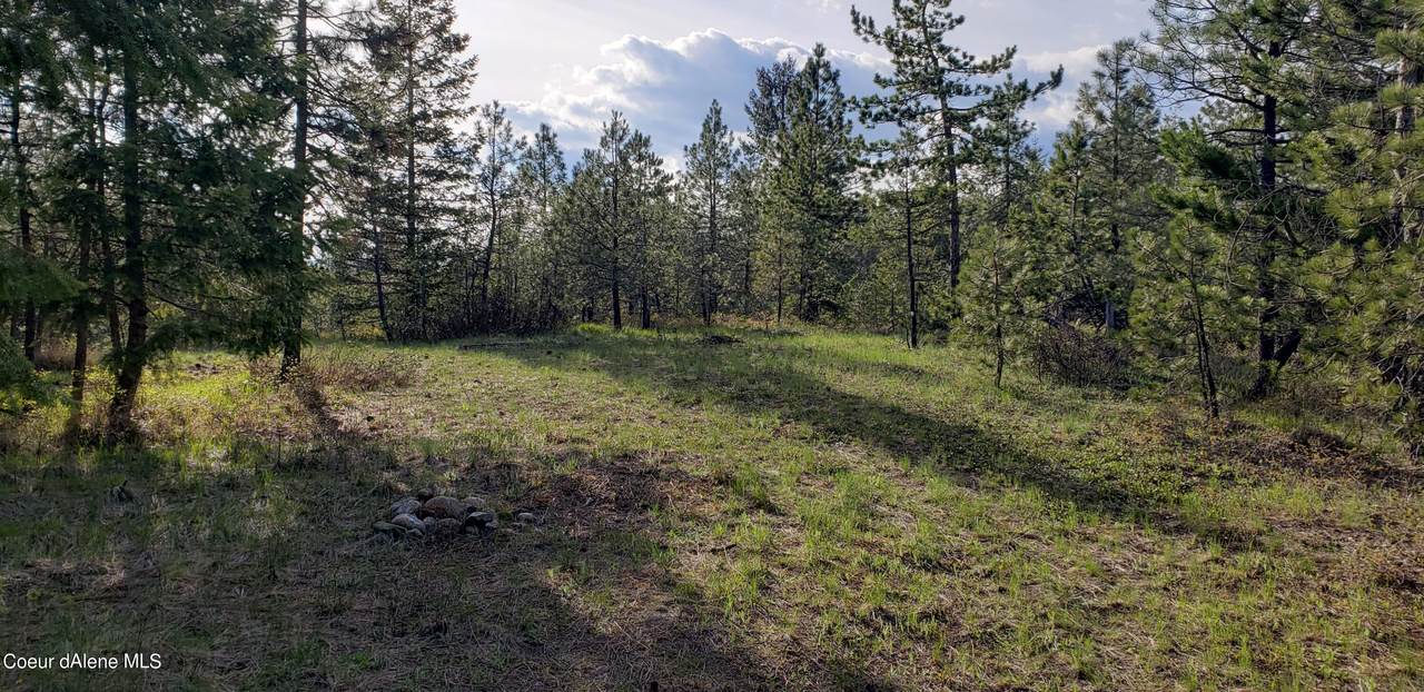 NKA Riffle Rd - Photo 1