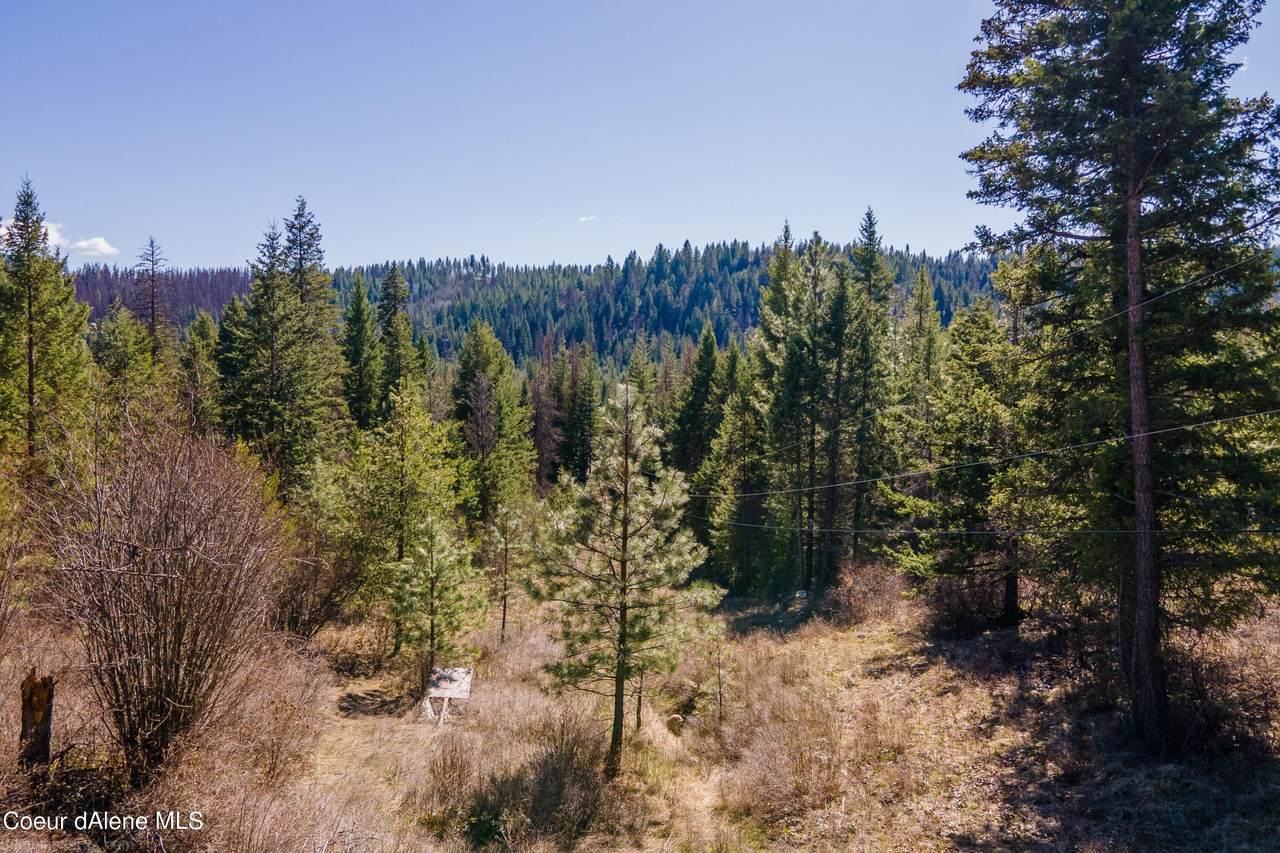 NKN Mountain Trail Ln - Photo 1