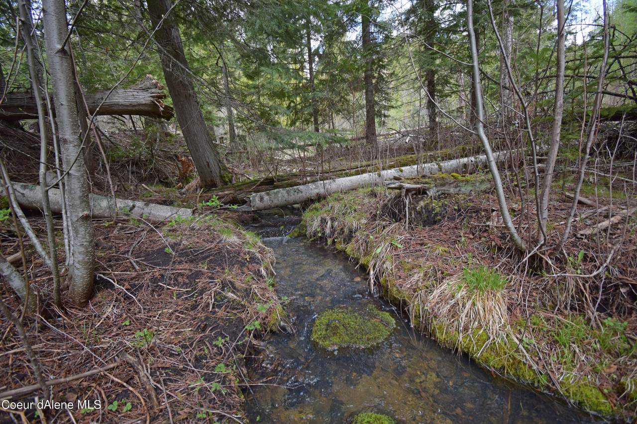 NNA Cliffside Rd - Photo 1