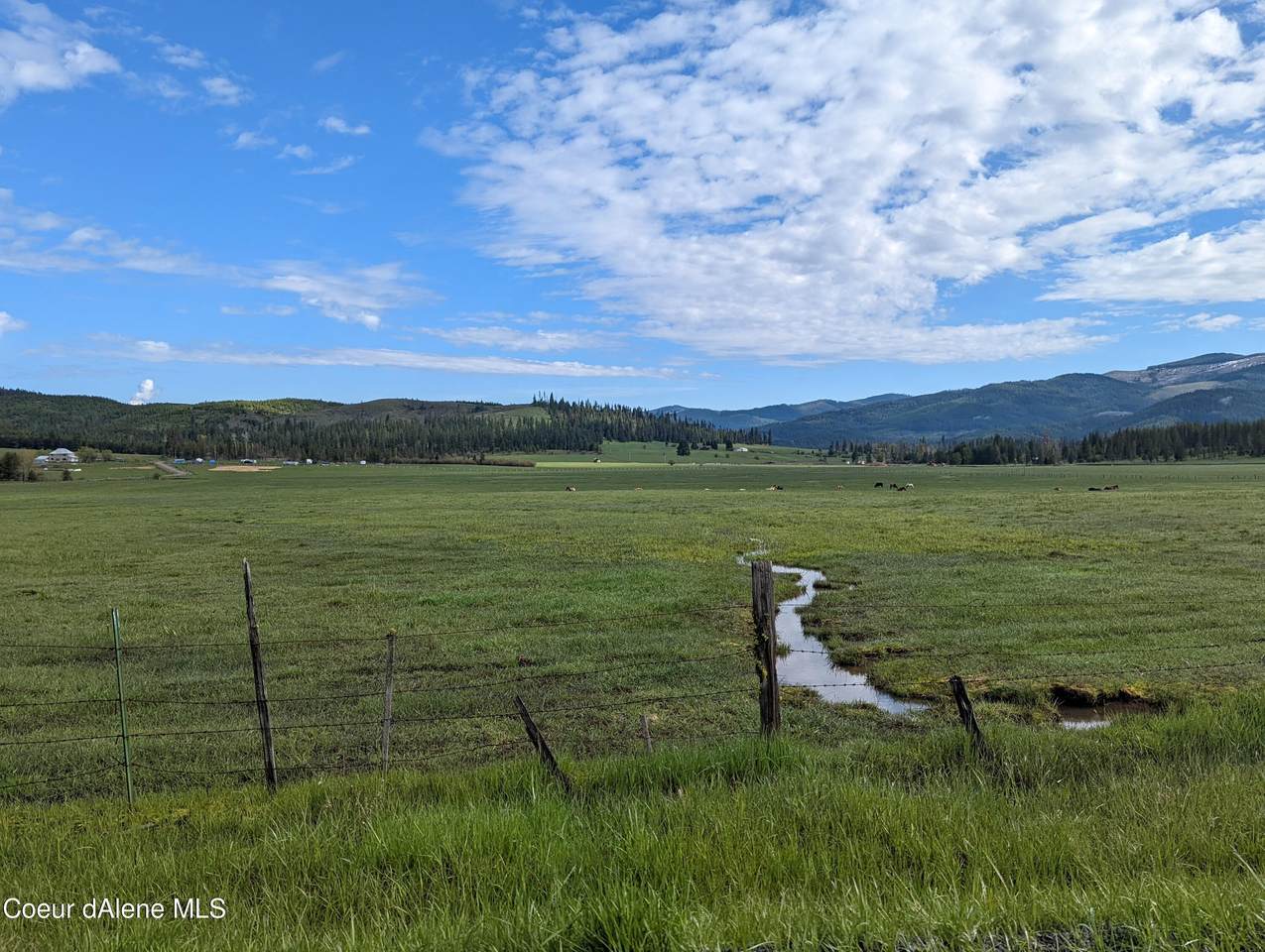 NNA Little Carpenter Creek Rd - Photo 1