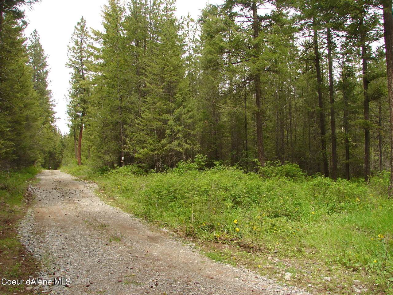 NNA Lot A Katka Rd - Photo 1