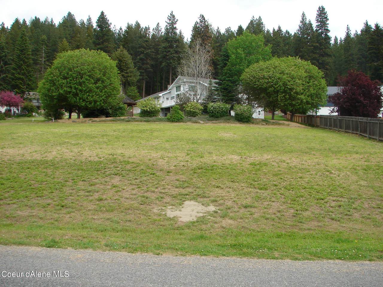 NNA Wildrose Lane - Photo 1