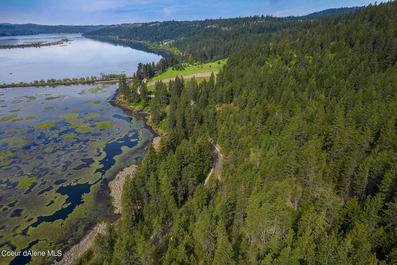Thompson Lake Rd - Photo 1