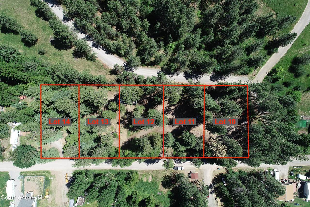 1074 Goldrush Lots 10-14 Rd - Photo 1