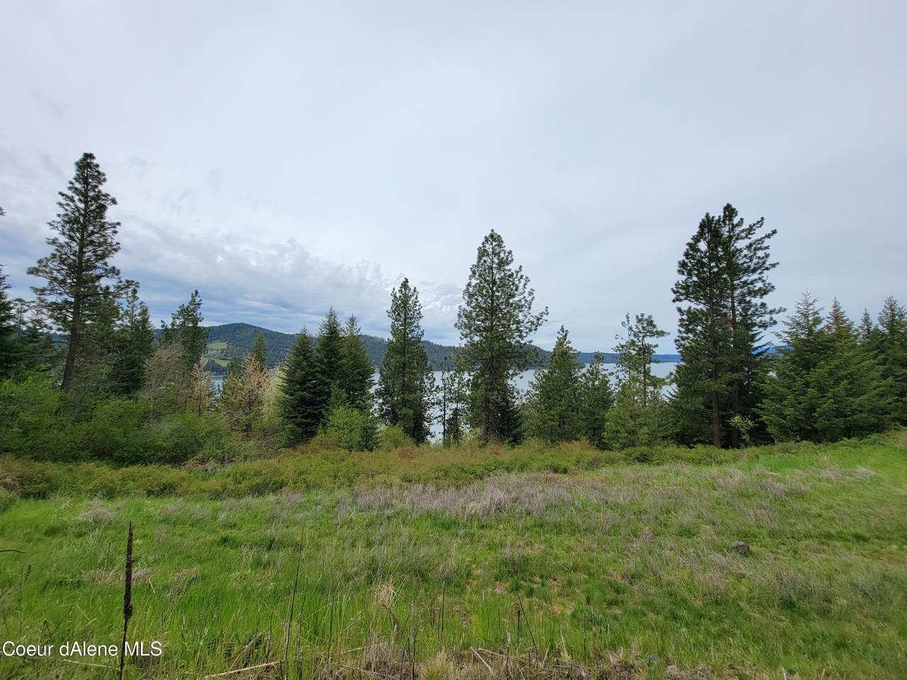 Lot12 Blk2 Empty Nest Ln - Photo 1