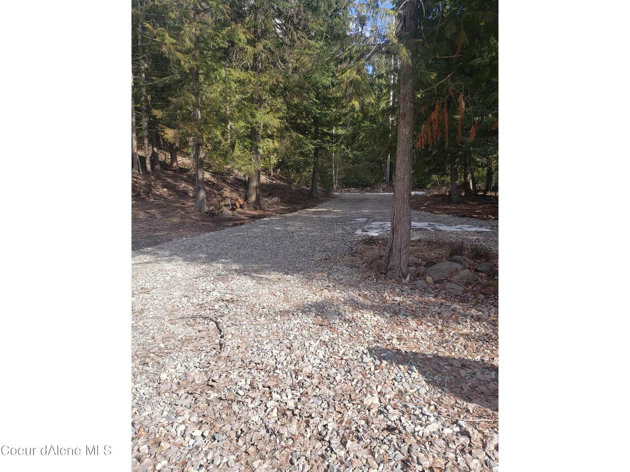 292 Fortyniner Ln - Photo 1