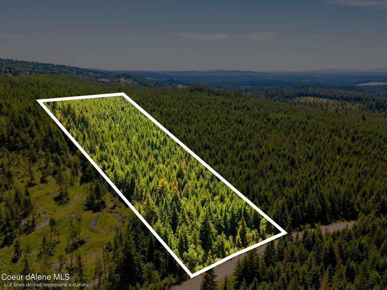 10 Acres Thompson Rd - Photo 1