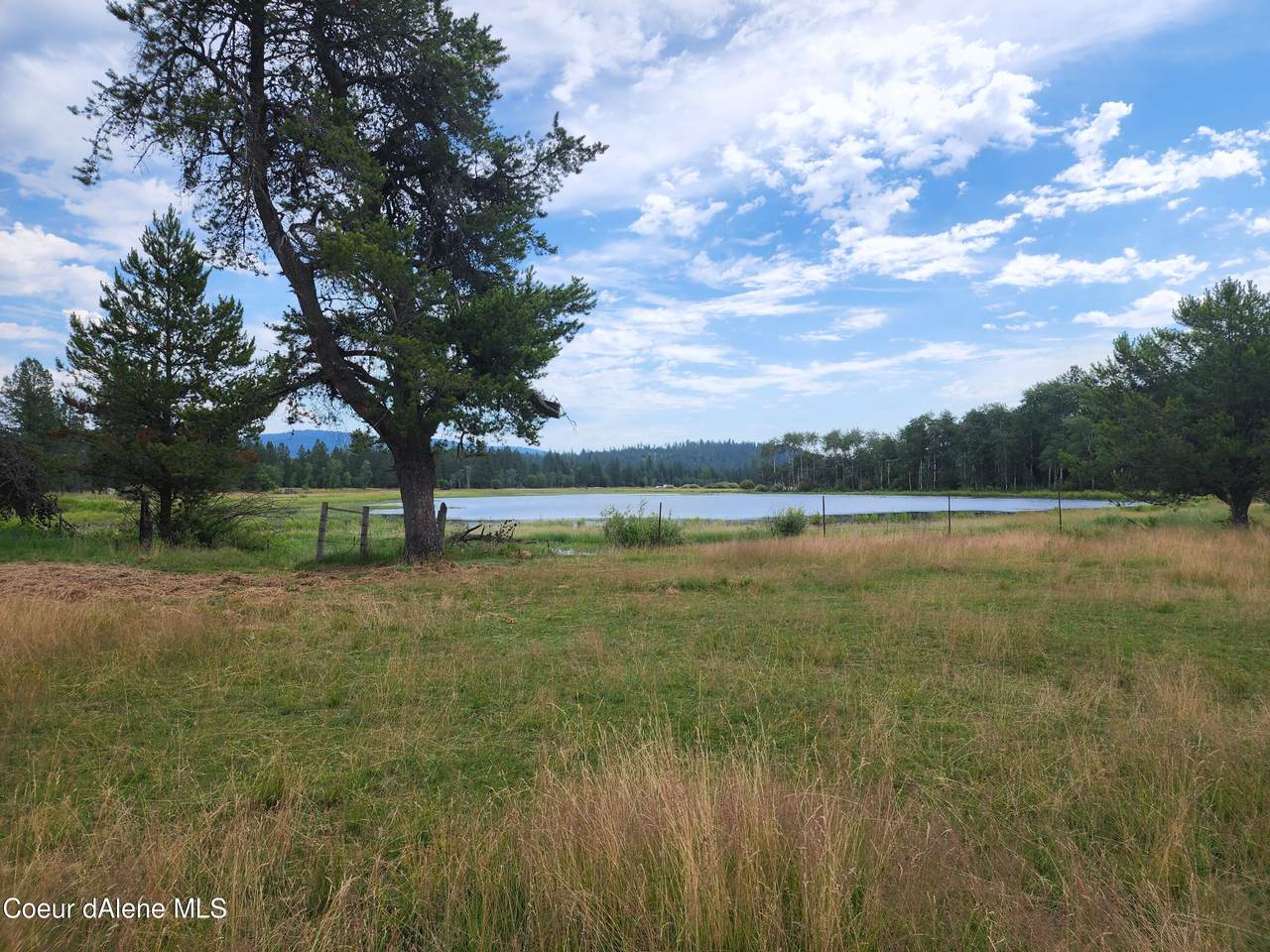 NKA Dudley (19 Acres) Rd - Photo 1