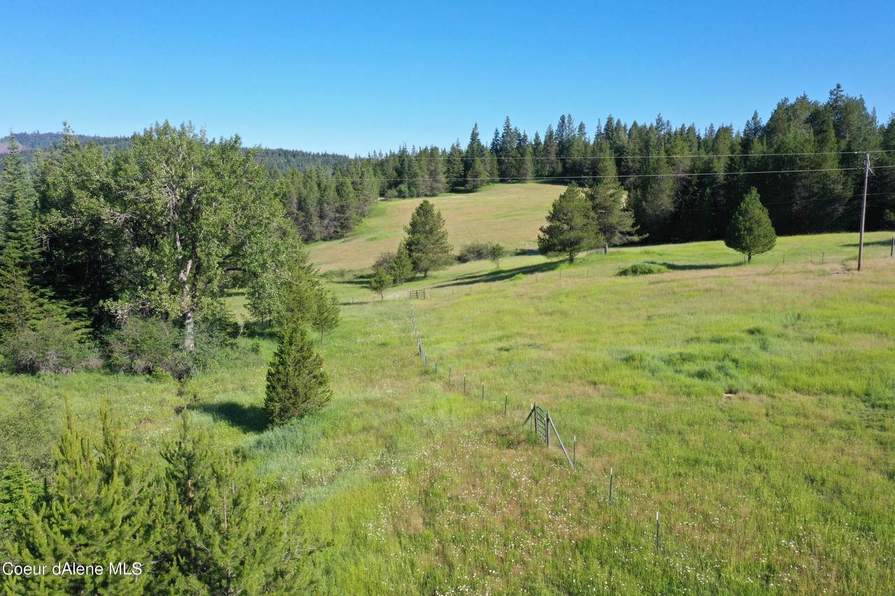 NKA Owl Creek Lane - Photo 1