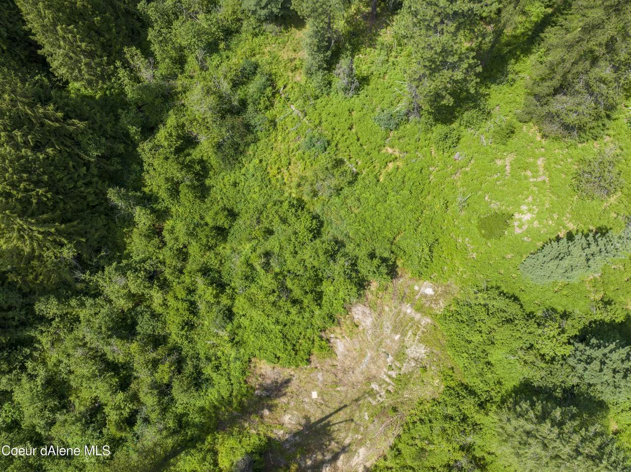 NNA Tanglewood Dr - Photo 1