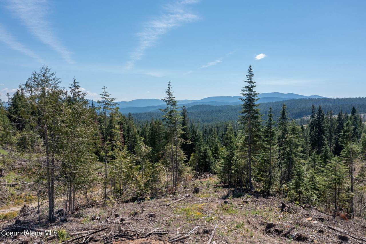 NNA Tetaw Ridge Road - Photo 1