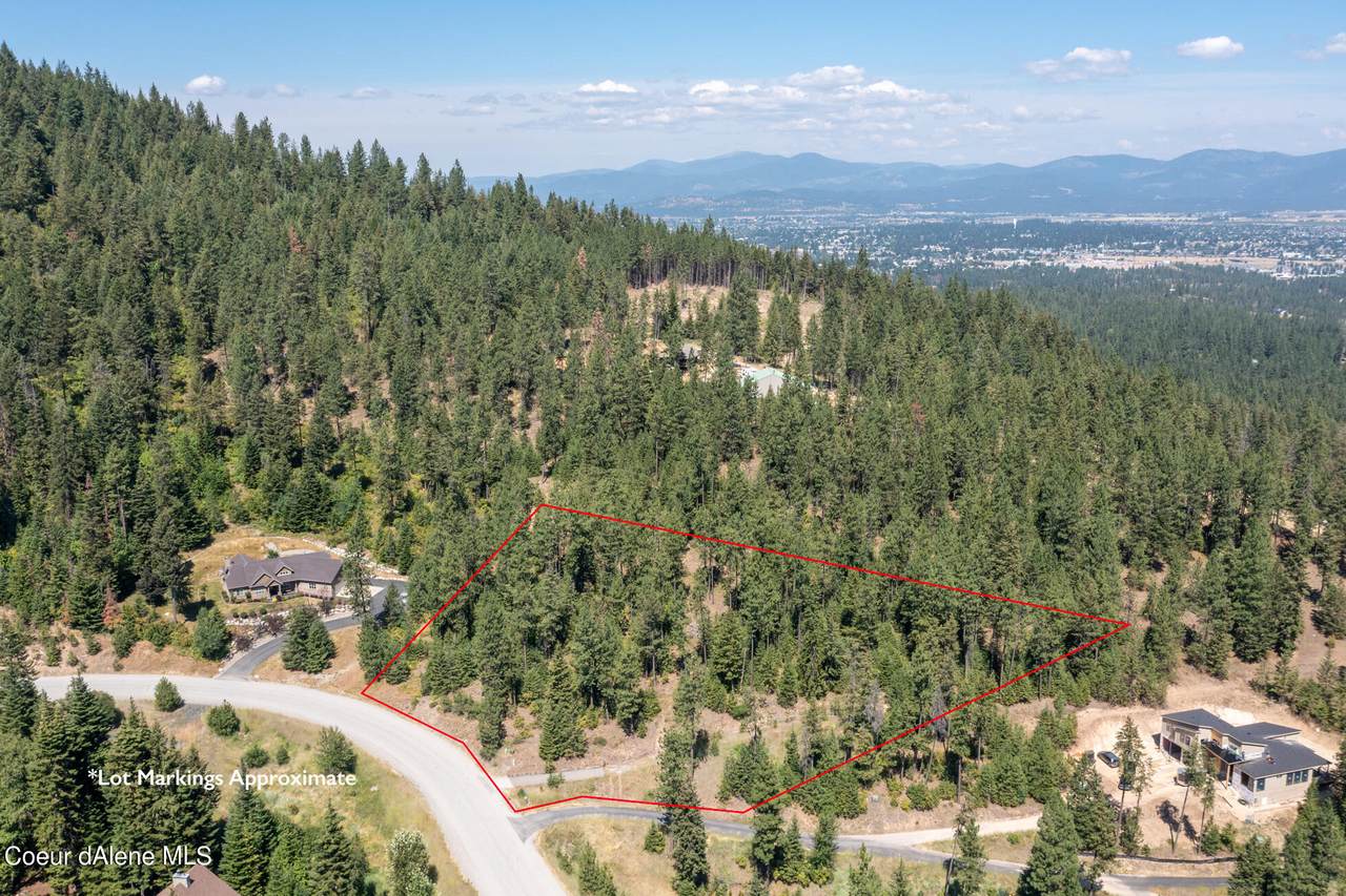 10795 Bella Ridge Dr - Photo 1