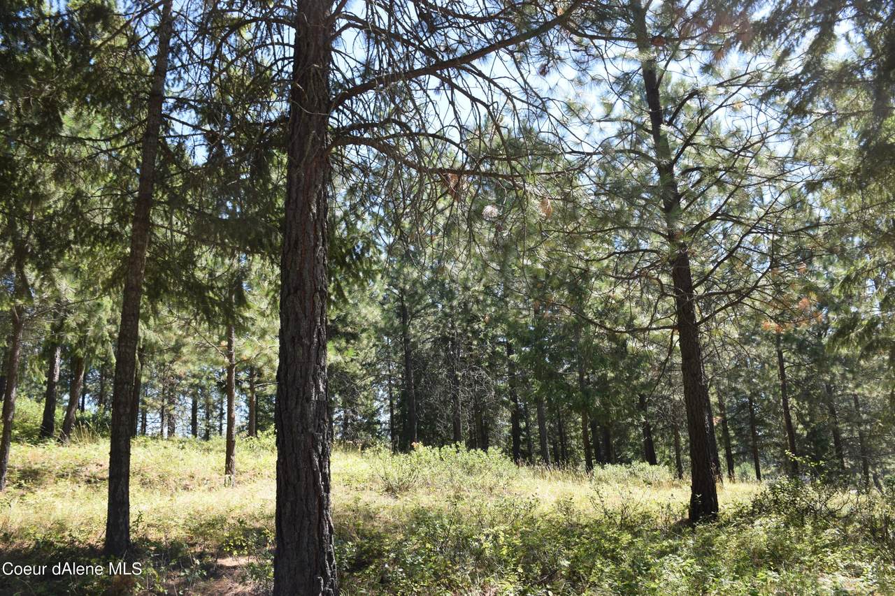 Lot 3 Chokecherry Dr - Photo 1