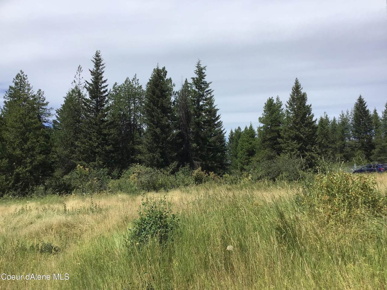 65 Saddle Horn Lane - Photo 1
