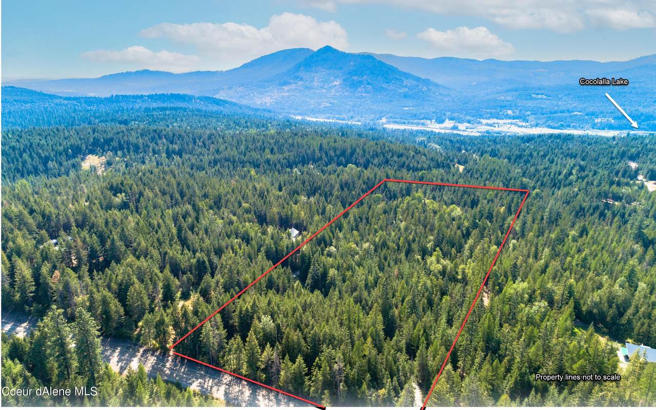 2426 Blacktail Rd - Photo 1